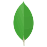 MongoDB logo